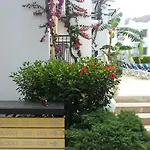 Alta