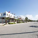 Alta Turgutreis
