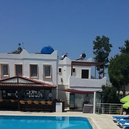 Alta 2*