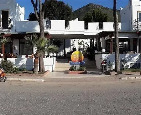 Alta Hotel