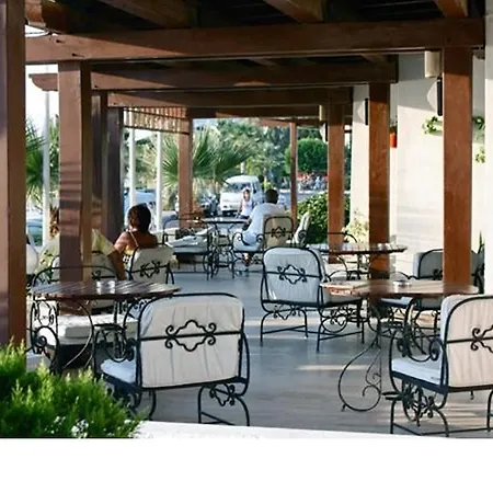 Alta トゥルグトレイス