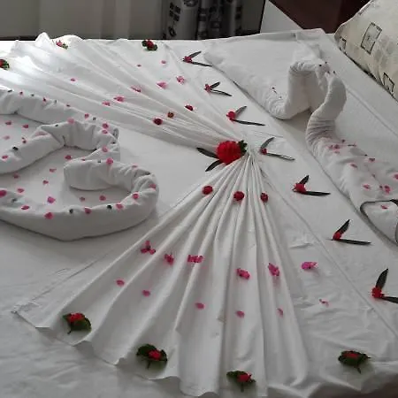 Alta 2* トゥルグトレイス