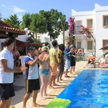 Alta 2* トゥルグトレイス