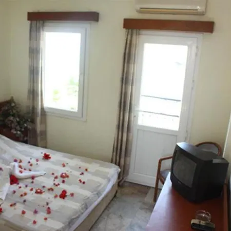 Alta 2* トゥルグトレイス