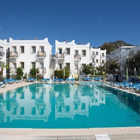 Alta トゥルグトレイス