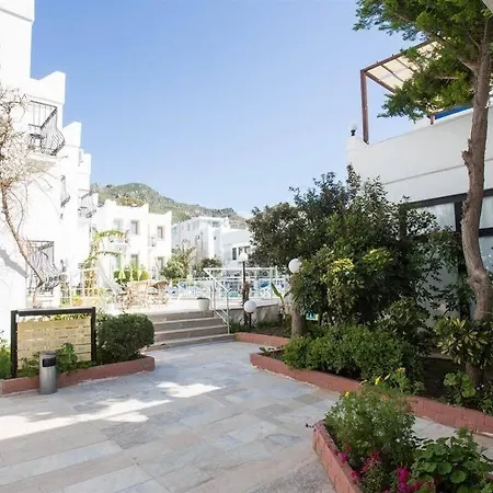 Alta ホテル トゥルグトレイス